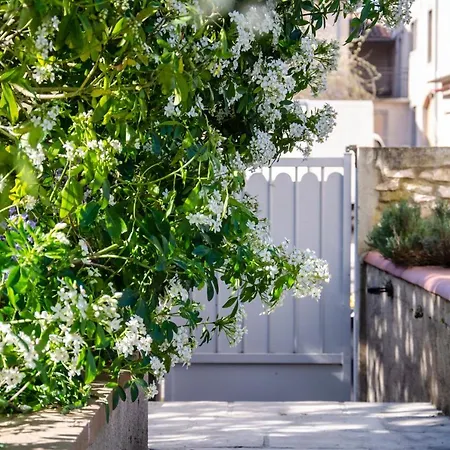 Kwatera prywatna La Petite Pierrette Saint-Benoit-de-Carmaux