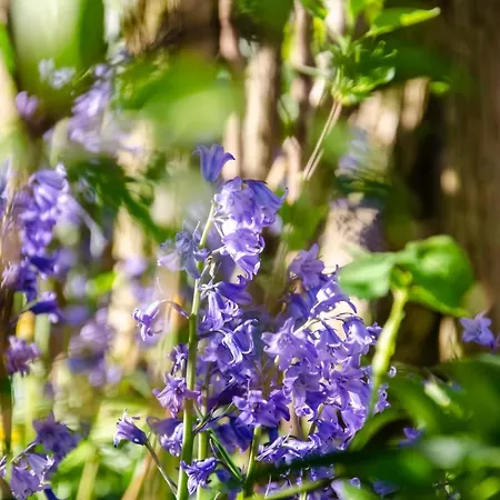 Pansiyon La Petite Pierrette Saint-Benoit-de-Carmaux
