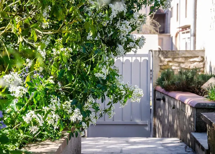 Accommodatie bij particulieren La Petite Pierrette Saint-Benoit-de-Carmaux