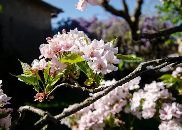 Accommodatie bij particulieren La Petite Pierrette *