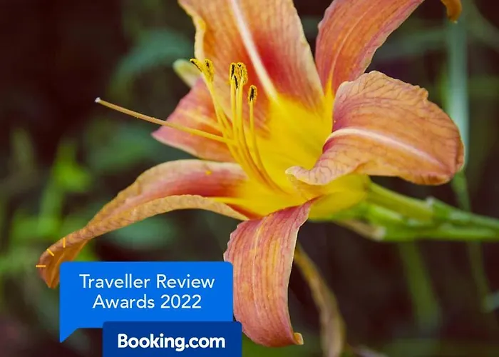 Accommodatie bij particulieren La Petite Pierrette